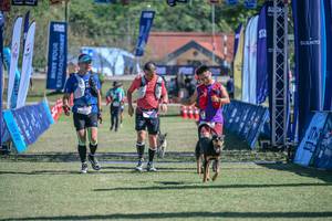 BIB: 
                            <button type="button" onclick="openModal(26654095)" class="btn btn-primary btn-sm float-right btn-popup" data-toggle="modal" data-target=".modal-high-quality">
                        <i class="fas fa-shopping-cart"></i> Add to Cart
                    </button>
                                            <button type="button" onclick="isThisMe(26654095, true)" class="btn btn-success btn-sm float-right btn-popup btn-isme hidden" data-toggle="tooltip" data-placement="bottom" title="นี่คือรูปของคุณใช่ไหม คลิกที่นี่เพื่อเอาเข้าอัลบั้ม">
                        <i class="fas fa-plus"></i> Add to album
                    </button>
                    <button type="button" onclick="isThisMe(26654095, false)" class="btn btn-warning btn-sm float-right btn-popup btn-isnotme hidden">
                        <i class="fas fa-ban"></i> Remove from album
                    </button>